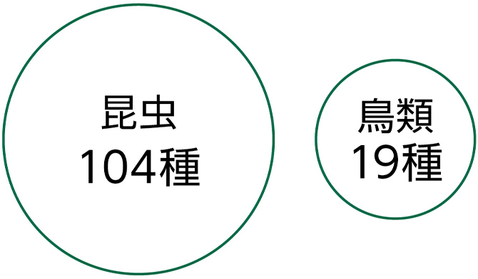 昆虫104種、鳥類19種