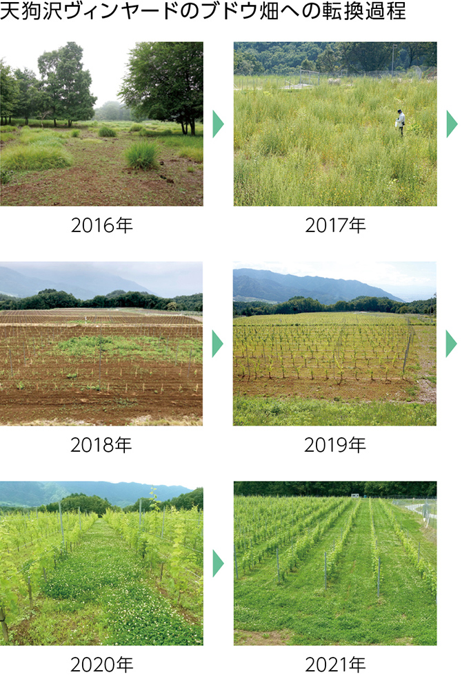 写真：天狗沢ヴィンヤードのブドウ畑への転換過程、2016年→2017年→2018年→2019年→2020年→2021年
