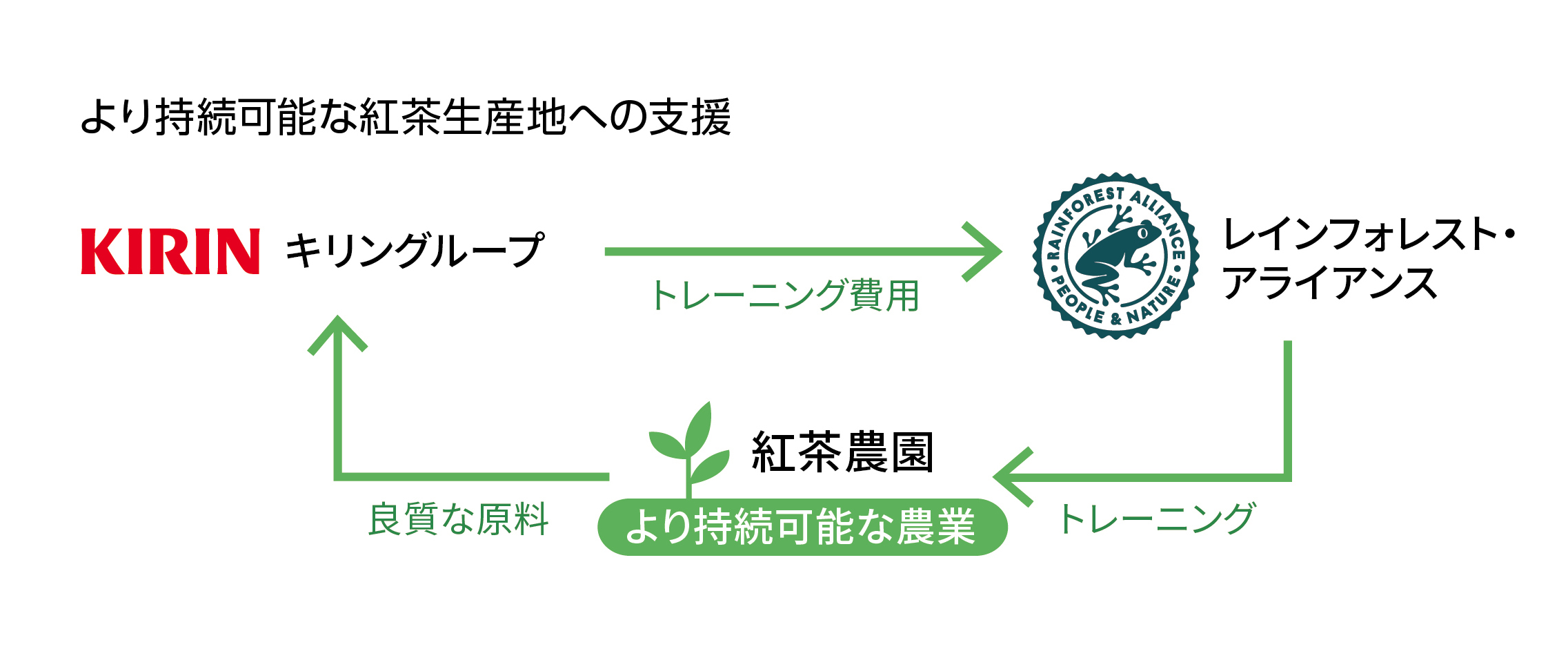 レインフォレスト・アライアンス認証取得支援の仕組み