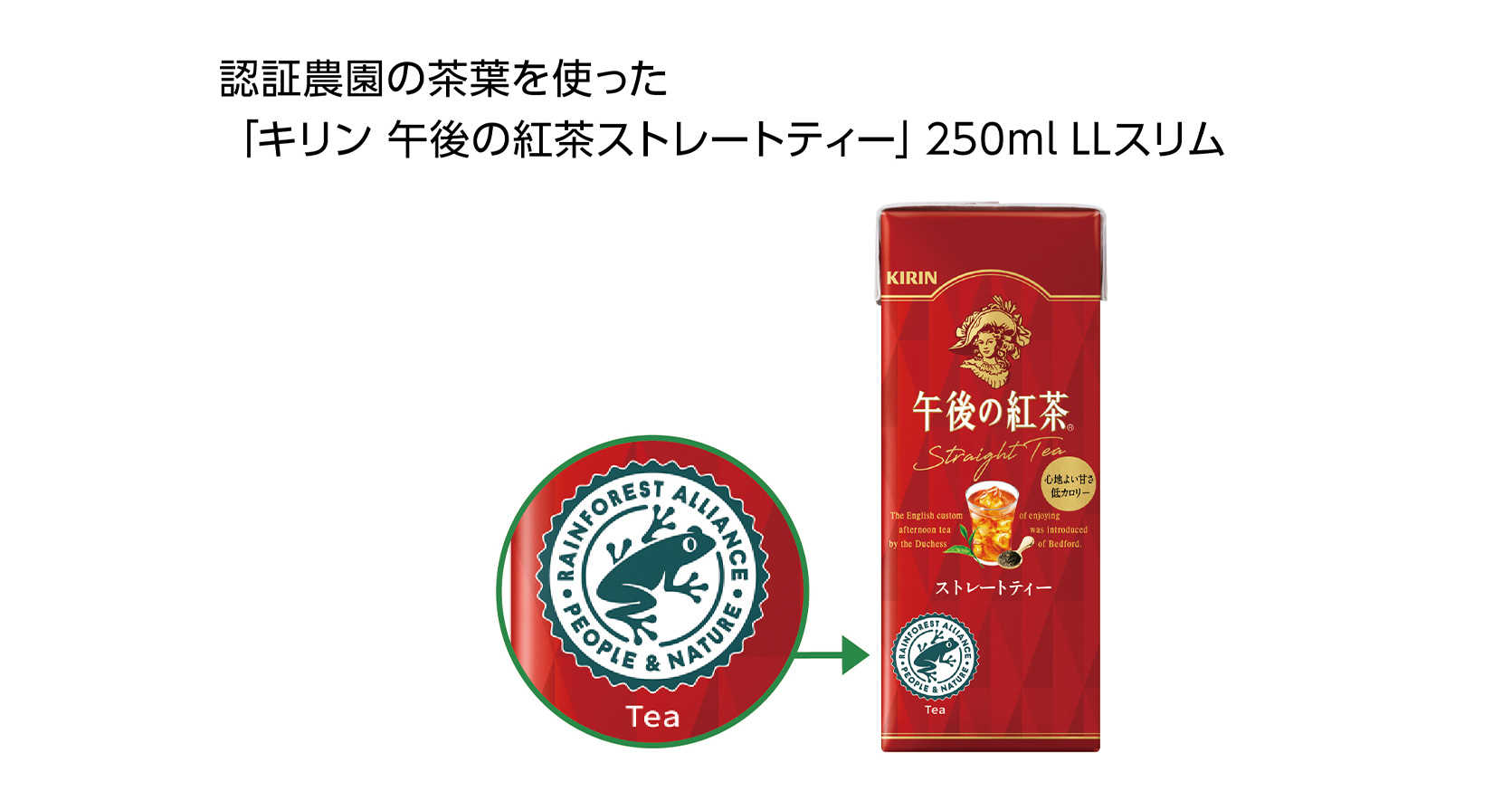 「キリン 午後の紅茶ストレートティー」250ml LLスリム