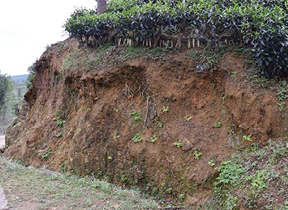 雨による土壌流出防止