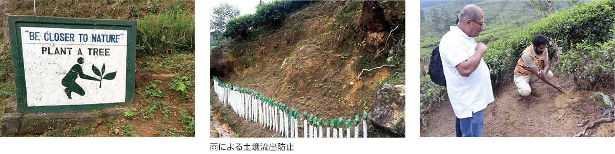 写真：雨による土壌流出防止