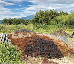 写真：ブドウの絞り粕堆肥場