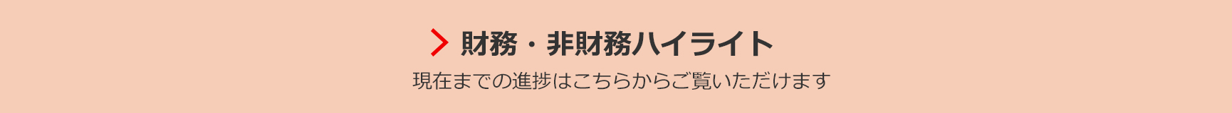 財務・非財務ハイライト 現在までの進捗はこちらからご覧いただけます