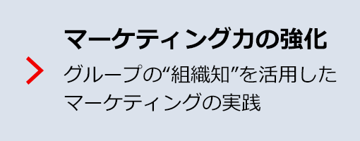 マーケティング力の強化 グループの“組織知”を活用したマーケティングの実践