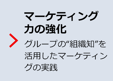 マーケティング力の強化 グループの“組織知”を活用したマーケティングの実践