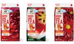 「キリン 午後の紅茶 WINTER SHINY 豊潤アップル with アプリコット」商品画像