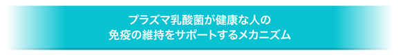 プラズマ乳酸菌が健康な人の免疫の維持をサポートするメカニズム