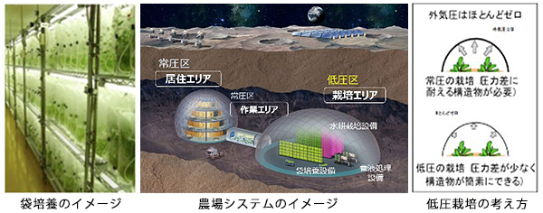 研究の概要