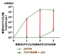 図1 プラズマ乳酸菌によって活性化したpDCによる新型コロナウイルス増殖抑制効果