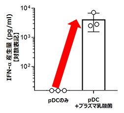 図2 ヒトpDCにプラズマ乳酸菌を添加した際に産生されたIFN-α量
