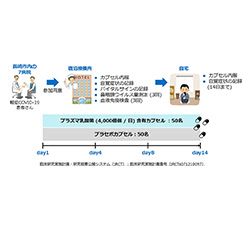  試験概要