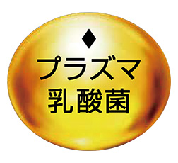 「プラズマ乳酸菌」ロゴ