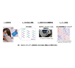 図1 RNAモニタリング～皮脂採取、RNAの抽出、精製および解析の流れ