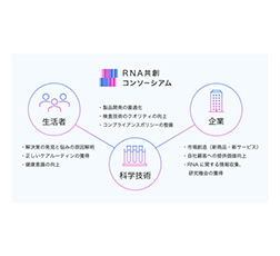 図2 「RNA共創コンソーシアム」を基点とした各タッチポイントでの活動イメージ
