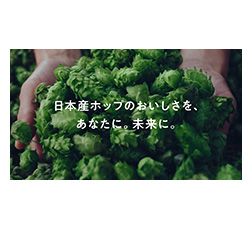 「一番搾り とれたてホップ生ビール 受け継がれるおいしさ篇」スペシャルムービー画像