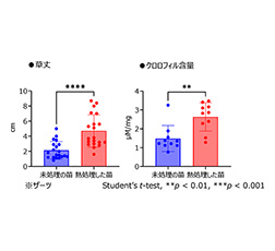 資料4 乾燥耐性 グラフ