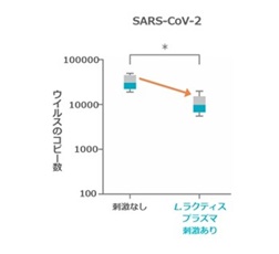 新型コロナウイルス（SARS-CoV-2）