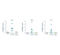 経鼻接種による抗ウイルス遺伝子の発現増加（Oasl2、Isg15、Mx1）