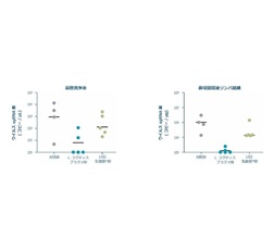 新型コロナウイルスの増殖抑制