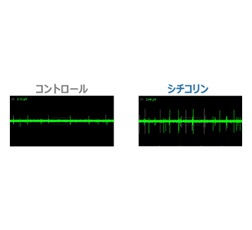 腸管上皮細胞と神経細胞の共培養系を用いた微小電極アレイによる神経活性化評価
