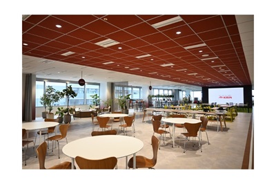 ニュースルーム | KIRIN - キリンホールディングス株式会社