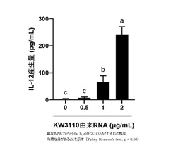 図4.乳酸菌L.パラカゼイ KW3110由来RNA 濃度依存的なIL-12産生誘導