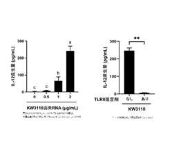 添付資料図3. 乳酸菌L.パラカゼイ KW3110由来RNAとTLR8のIL-12産生誘導への関与