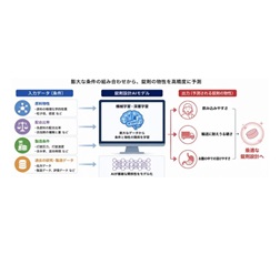 製剤設計AIモデルのイメージ