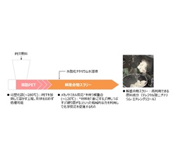 アルカリ解重合プロセスの概要