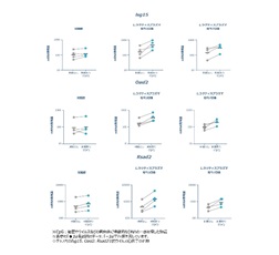 添付資料図3. 経鼻接種後CpG刺激による抗ウイルス遺伝子の発現増加（Isg15、Oasl2、Rsad2）