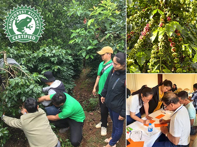 ベトナムのコーヒー農園へのレインフォレスト・アライアンス認証取得支援のトレーニングを開始しています